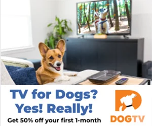 Free Trial of DOGTV