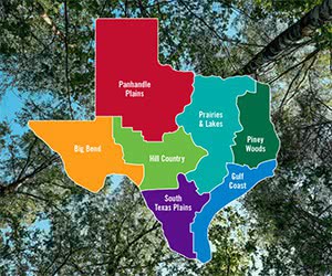 Free Texas Travel Guide