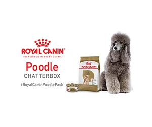 Free Royal Canin Breed Health Nutrition Poodle Adult Dry Dog Food Or Wet Canned Food