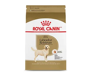 Free Royal Canin Labrador Retriever Adult Dry Dog Food