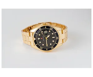 Free Holzer Luxury Watch