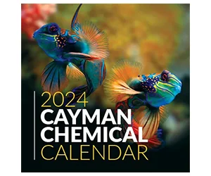 Free 2024 Cayman Calendar