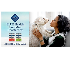 Free BLUE Health Bars Mini