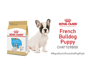 Free Royal Canin Breed Health Nutrition French Bulldog Puppy Dry Dog Food Until April 21st