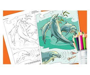 Free National Geographic Coloring Book: Animals