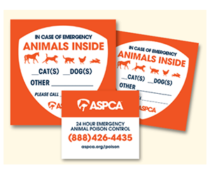 Free ASPCA Pet Safety Pack