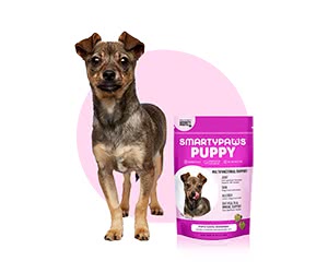 Free SmartyPaws Dog Food