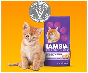 Free IAMS™ Kitten Dry Food Sample!