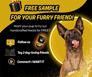 Free K9 Treat for Your Pup – Instagram Exclusive!