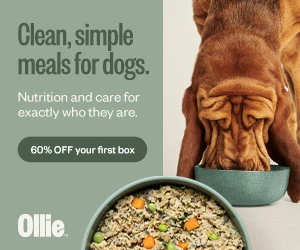 Free Embark Dog DNA Test ($199 Value) with Your First Ollie Box - Plus 60% Off Your First Order
