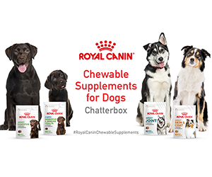 Free Royal Canin Chewable Supplement for Your Dog