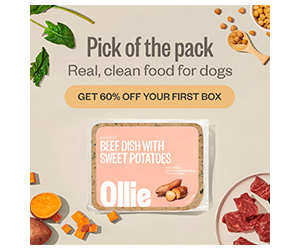 Free Ice Cream + 60% Off First Ollie Dog Food Box