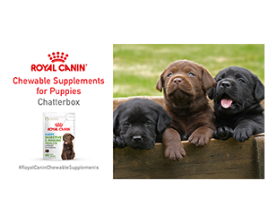 Free Puppy Health Supplements – Apply to Try