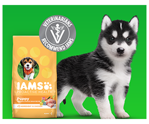 Free Sample of IAMS Puppy Dry Food