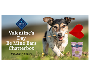 Free BLUE Be Mine Bars - Valentineโs Treats for Your Pup