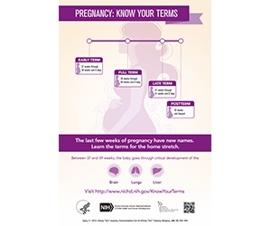 Free ”Know Your Terms” Pregnancy Poster