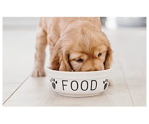 Free Petco August Store Events for Pets