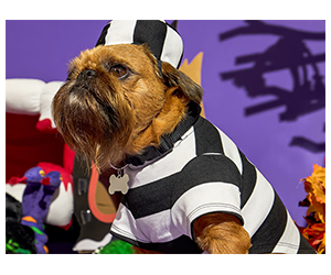 Free Petco In-Store Events - Fun Activities All October!