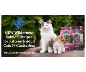 Free Blue Buffalo Wilderness Salmon Recipes Chatterbox