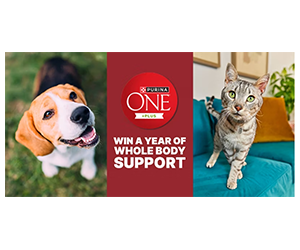 Win a Year of Purina ONE Whole Body Support
