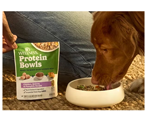 Free Wellness Protein Bowls Dog Food Sample