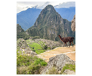 Win 1 of 3 Explore Worldwide Adventure Trips for 2