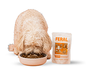 Free Month’s Supply of FERAL Dog Food