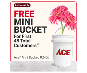 Free Ace Mini Bucket at Ace Hardware