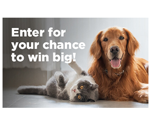 Win a Year of Free Hill’s Pet Food