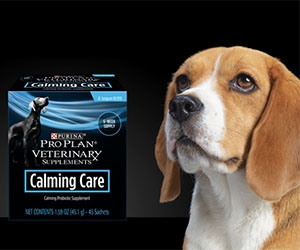 Free Purina Pro Plan Calming Care Probiotic Supplements 45-Day Supply