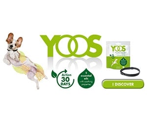 Free YOOS Essential Oil Collar For Dogs