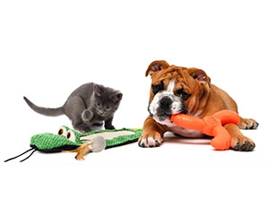 Free Pet Toys From Hartz