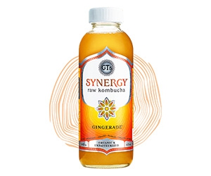 Free GT's Synergy Raw Kombucha Bottle