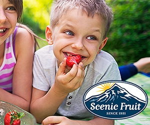 Free x2 Smoothies From Scenic Fruit Company