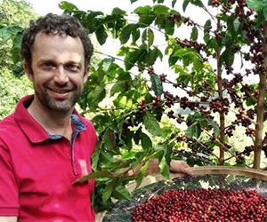 Free Brazillian Specialty Green Coffee Beans From Bean Belt Coffees