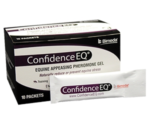 Free Confidence EQ® Sample