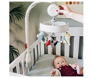 Free Tiny Love Boho Chic Baby Toys Collection