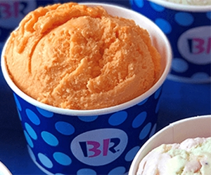 Free 2,5 Oz Scoop Coupon + Birthday Coupons From Baskin Robbins