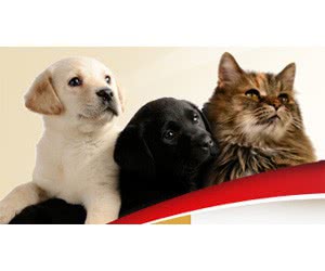 Free Dog & Cat Trophy Complete Pet Food Samples