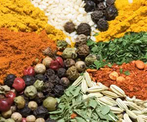 Free Herbs & Spices Samples