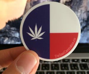 Free Dallas Cannabis Co. Stickers