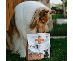Free Nutrience Care Dog Food Can Sample