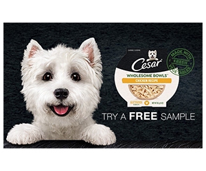 Free Cesar Wholesome Bowls For Dogs